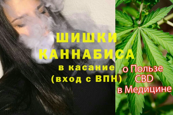 бошки Нижний Тагил