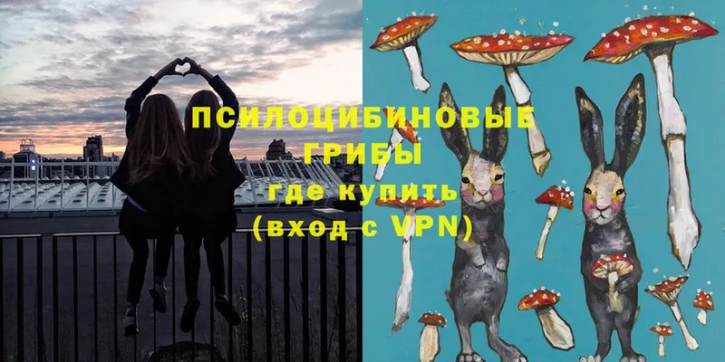 Галлюциногенные грибы ЛСД  OMG ссылка  Алдан 